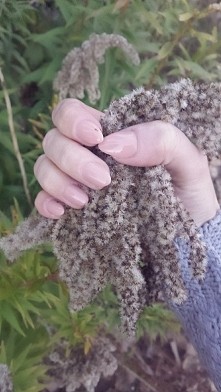 Jesiennie..... Więcej zdjęć na blogu. loveeisweakness.blogspot.com ;-)