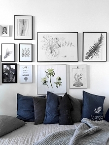 Anemone , print, 50x50 cm