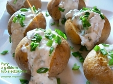 Pola GotPyry z gzikiem lub śledzikiem