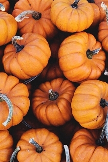 Kto z Was lubi wycinać stra...