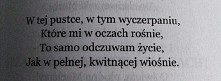 poezja