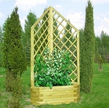 Pergola narożna z drewna