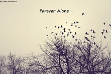 Moje autorstwo :D (napisów)xD
Piszcie czy Wam się podoba