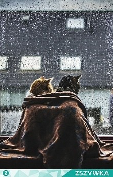 hello ! zaszyweczki ile tu nas jest ?:)) po Wakacjach musi sie zwiększyć  liczba osob ^^