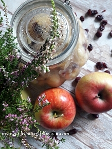 Prażone jabłka z żurawiną - przetwory na zimę 
Przepis
myowpleasures.blogspot.com