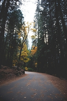 Właśnie myślę nad tym czy by dzisiaj nie pobiegać po lesie :)