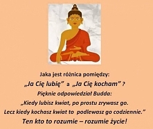 Jaka jest różnica pomiędzy