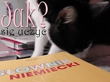 skuteczna nauka języków obcych? - kliknij w zdjęcie ;)