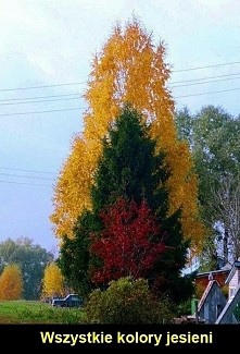 I tylko na jednym zdjęciu... Piękne