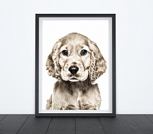 COCKER SPANIEL - OBRAZEK, PLAKAT A4 + RAMKA