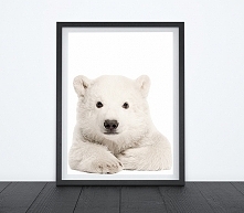 NIEDŹWIADEK - OBRAZEK, PLAKAT A4 + RAMKA