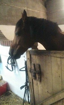 Moja księżniczka  *-*