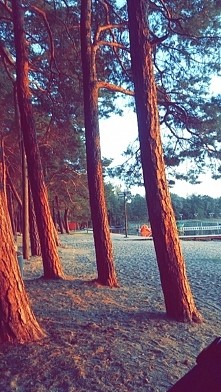 Z serii "zawsze chciałam zostać fotografem" 