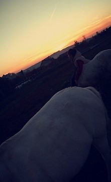#konie#zachódsłońca #