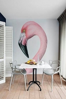 flamingo :)