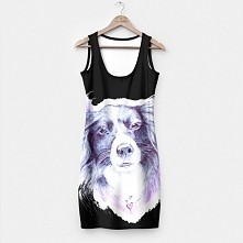 sukienka border collie