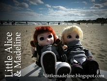 Little Pullip na plaży w Sopocie