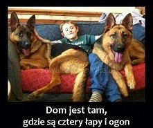 Dom jest tam, gdzie są...