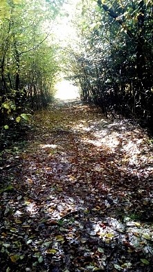 #jesień #październik