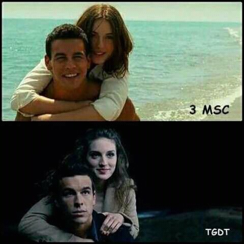 3 MSC