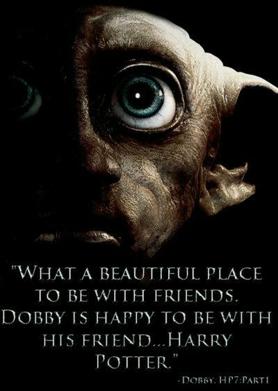 ~Dobby
