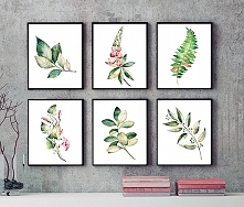 zestaw obrazków. rośliny (f...