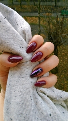 burgund wine, chameleon indigo