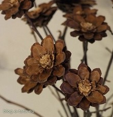 kwiatki z szyszek