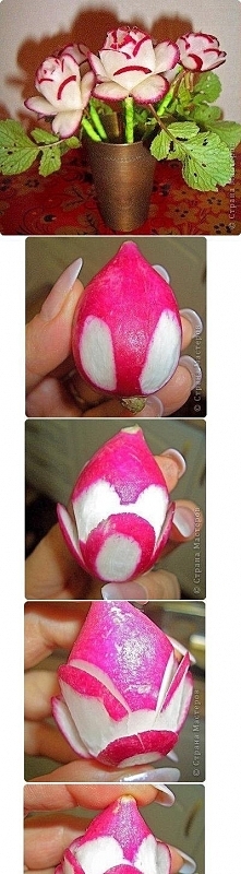 różyczki z rzodkiewki