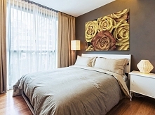 Herbaciane róże - fotoobraz...