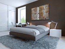 Energia brzozy - fotoobraz ...