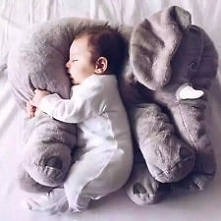 elephant pillow