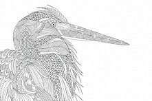 kolorowanki dla dorosłych