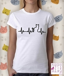 Koszulka tshirt
Kot ekg