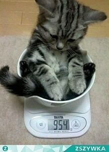 Zakochałam się ❤❤