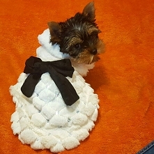 Witam ! Ubranko w sprzedaży. Link w komentarzu :)