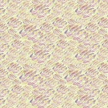 Bawełniana tkanina Bez w Herbacie (kliknij, żeby kupić)