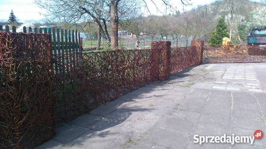 płot wiklinowy