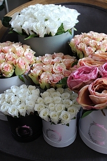 róże w pudełkach od tendom.pl