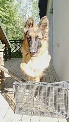 Takie tam skoki w lato :)