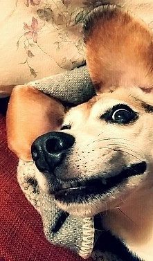 ☆ crazy ☆ weirdo ☆