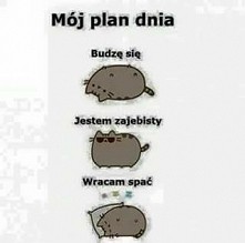 Mój plan