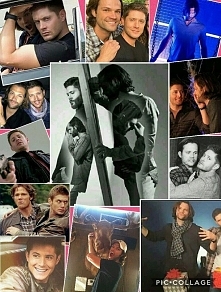 Collage SPN