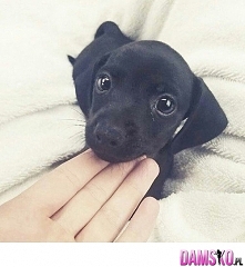 jaaaaaaaaaaaki piękny