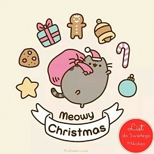 20. Wszystkie wymienione wy...