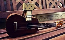 Danbo ♥