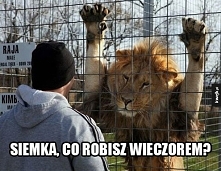 Ja???