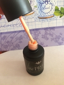 hybryda nr 048 pastel peach senso line pro