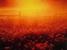 Myslovitz- Wieża melancholii