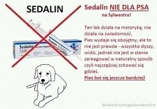 Sedalin - NIE DLA PSA NA SYLWESTRA!